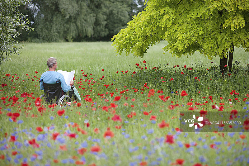 老人坐在轮椅上在盛开的草地上看书图片素材