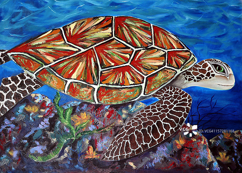 艺术品-夏威夷海龟图片素材