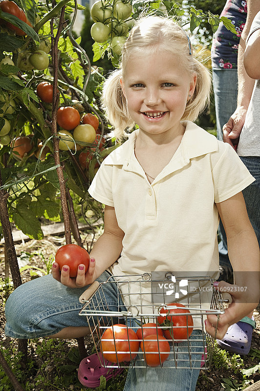 德国，巴伐利亚，女孩在菜园里采集西红柿，微笑着，肖像图片素材
