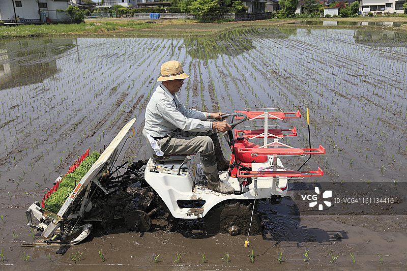 农民用水稻播种机种植水稻图片素材