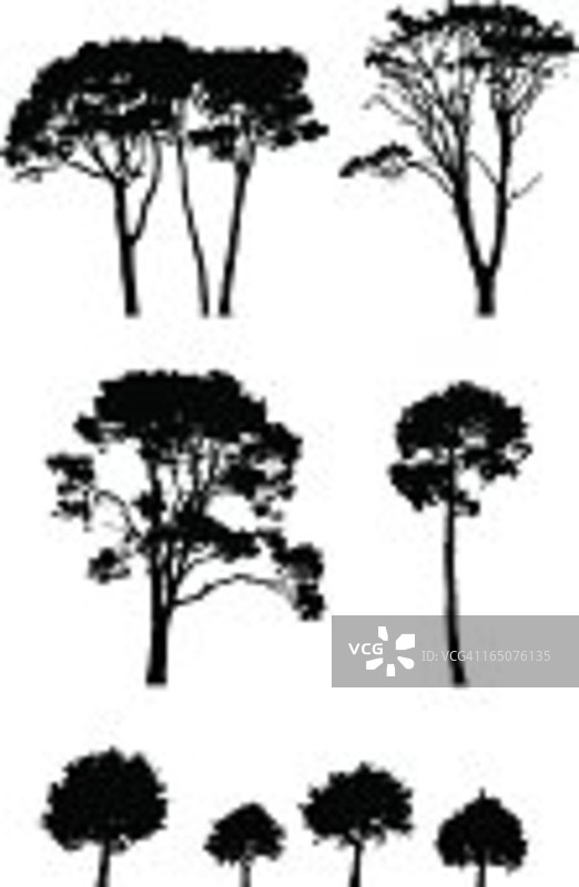 树的轮廓图片素材