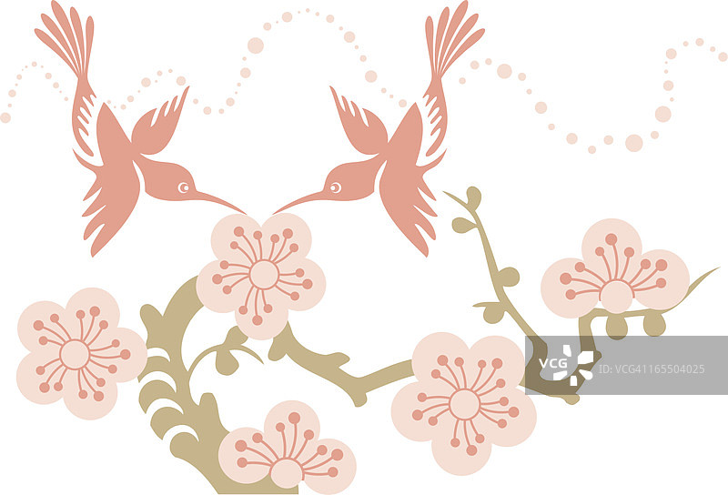 蜂鸟夫妇和樱花花图片素材