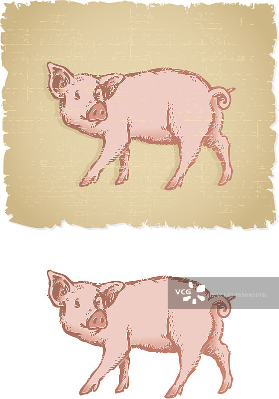 粉红色的猪乏味的东西图片素材