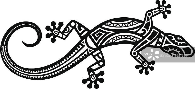 毛利人的蜥蜴图片素材