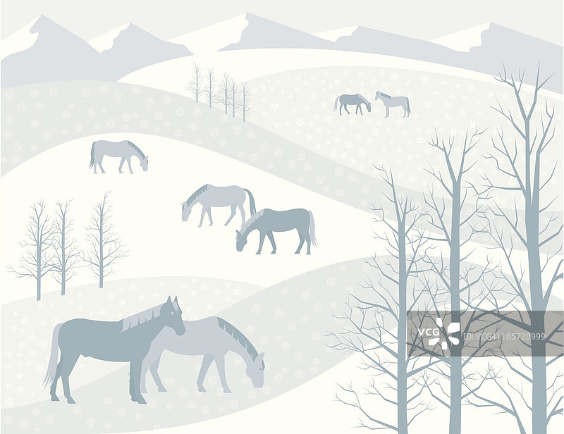 冬季牧马图片素材