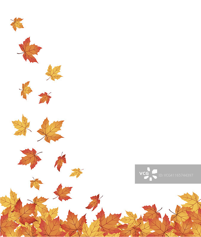 秋天的叶子-向量图片素材