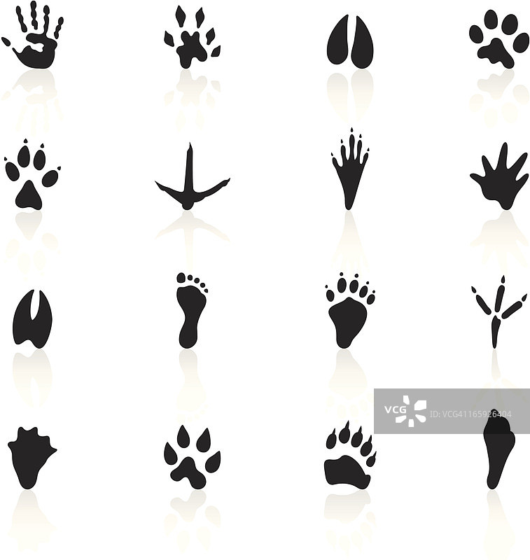黑色符号-动物足迹图片素材