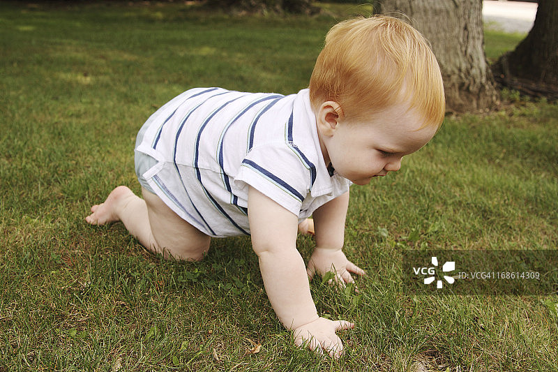 爬行婴儿穿布尿布图片素材