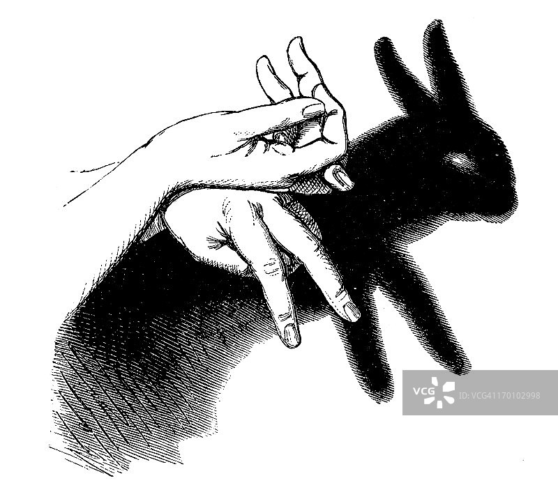 暗影术的古董插图:野兔图片素材