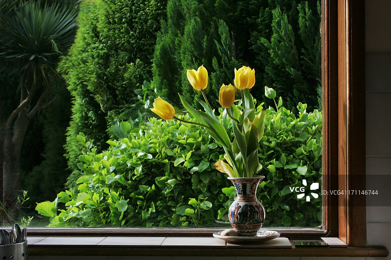 厨房窗前的黄色郁金香，春天的时节图片素材