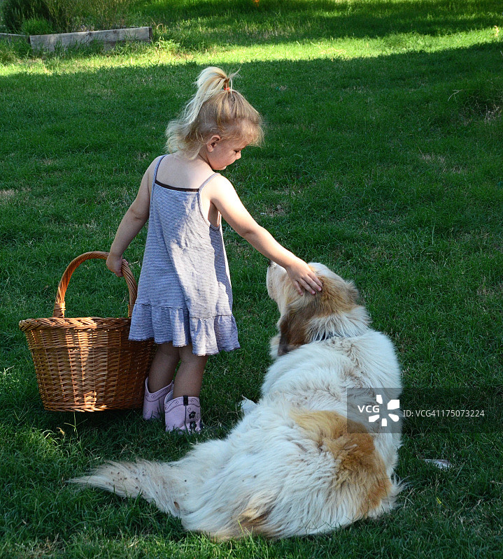 蹒跚学步的女孩和她的狗图片素材