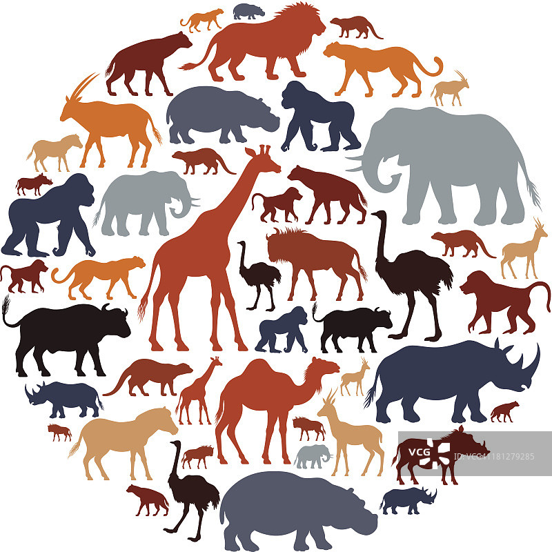 非洲动物图标构成图片素材