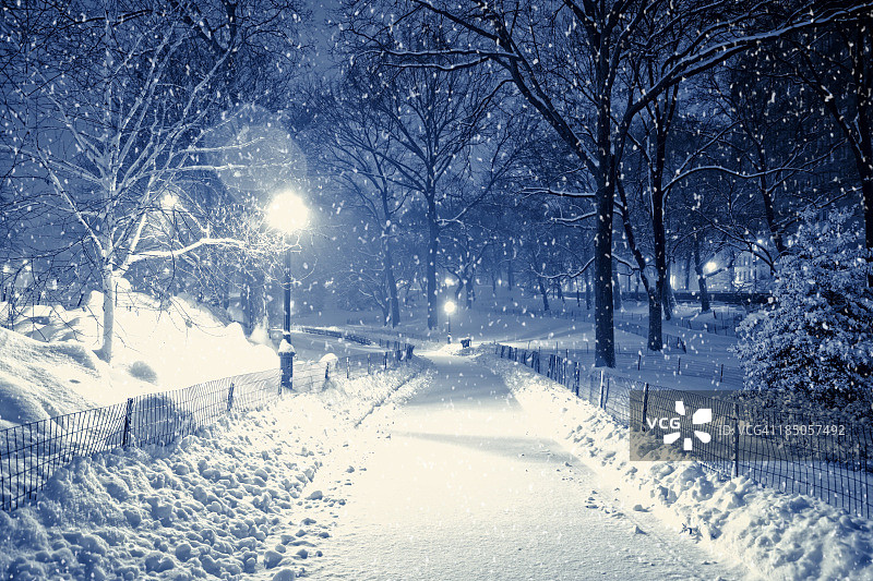 在暴风雪的晚上去中央公园图片素材