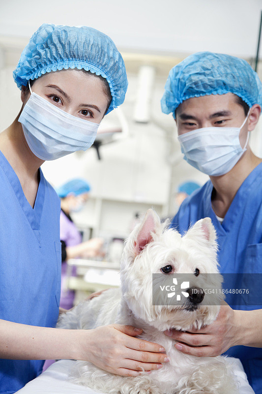 兽医与狗图片素材