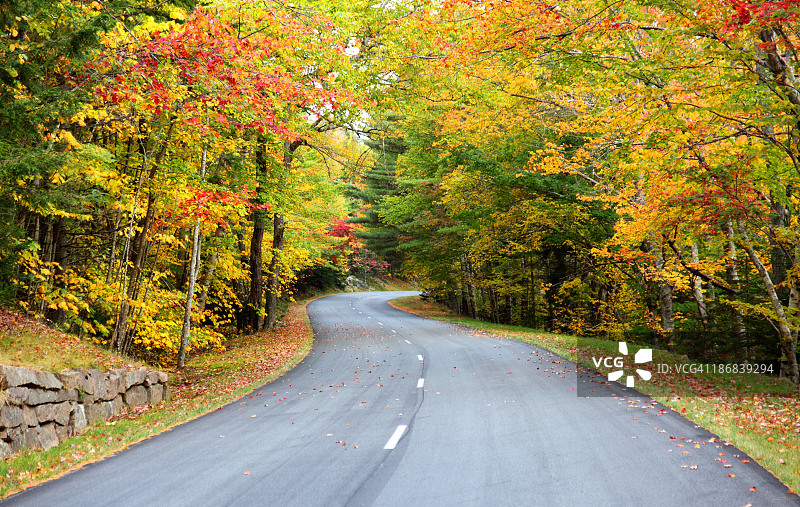 缅因州的秋天路图片素材
