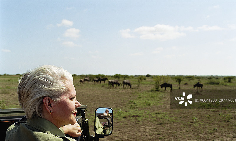 成熟的女人在游猎中看风景，近景，侧景图片素材