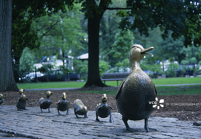 美国，马萨诸塞州，波士顿，波士顿广场，鸭子雕塑图片素材