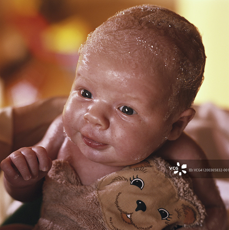 婴儿(0-3个月)，湿头，抱着泰迪熊图片素材