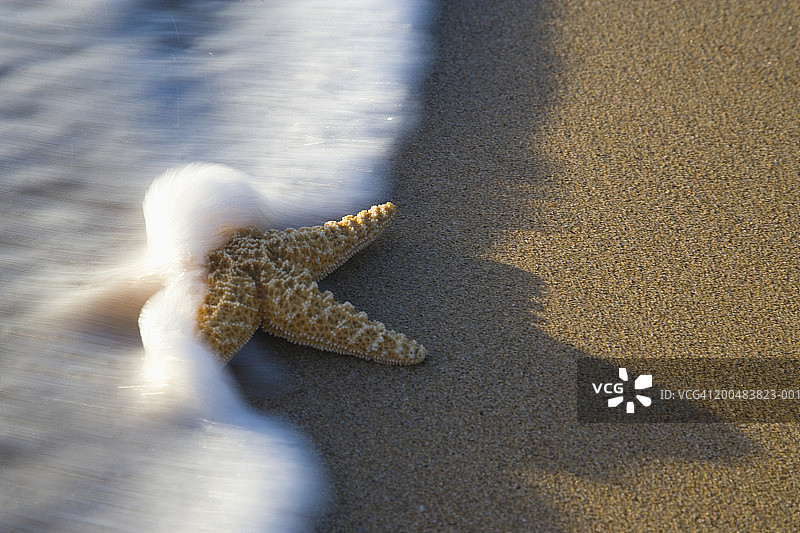 海浪冲过海滩上的海星，高架的视野(模糊的运动)图片素材