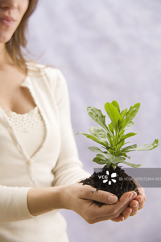 抱着植物的女人，特写图片素材