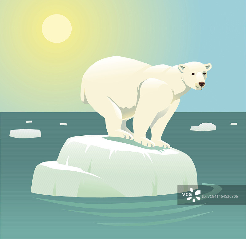 全球变暖和浮冰上的北极熊图片素材