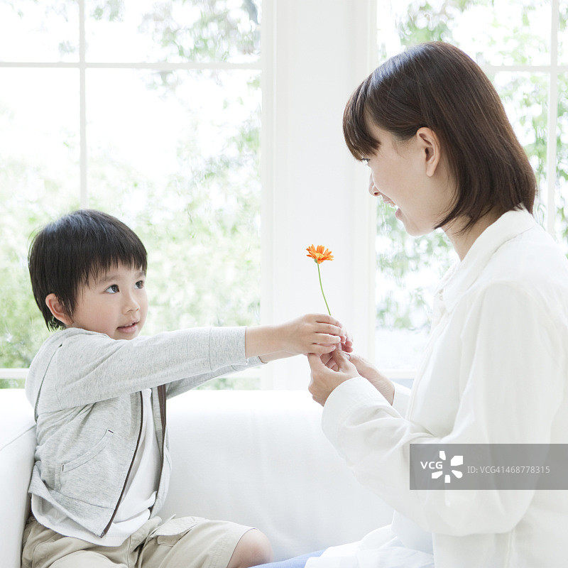 儿子送花给母亲图片素材