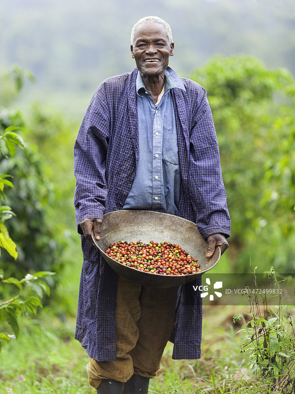 肯尼亚公平贸易咖啡农民图片素材