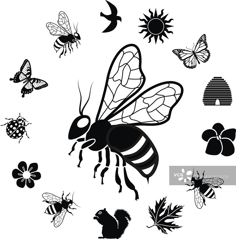 带有林地生物环边的蜜蜂图标图片素材