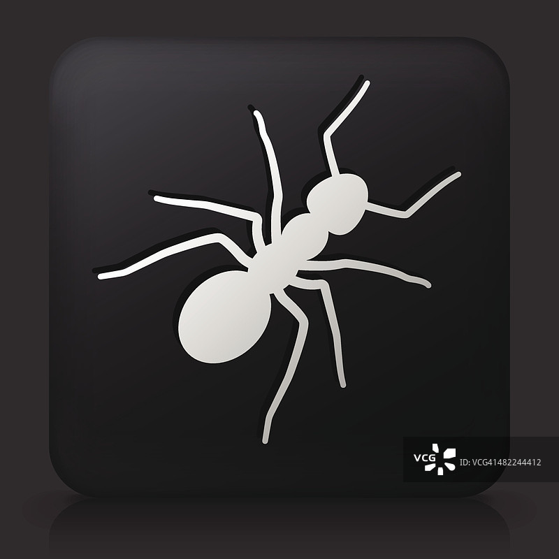 黑色方块按钮与蚂蚁图标图片素材