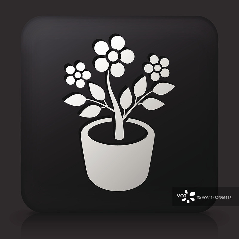 黑色方形按钮与植物在花盆图标图片素材