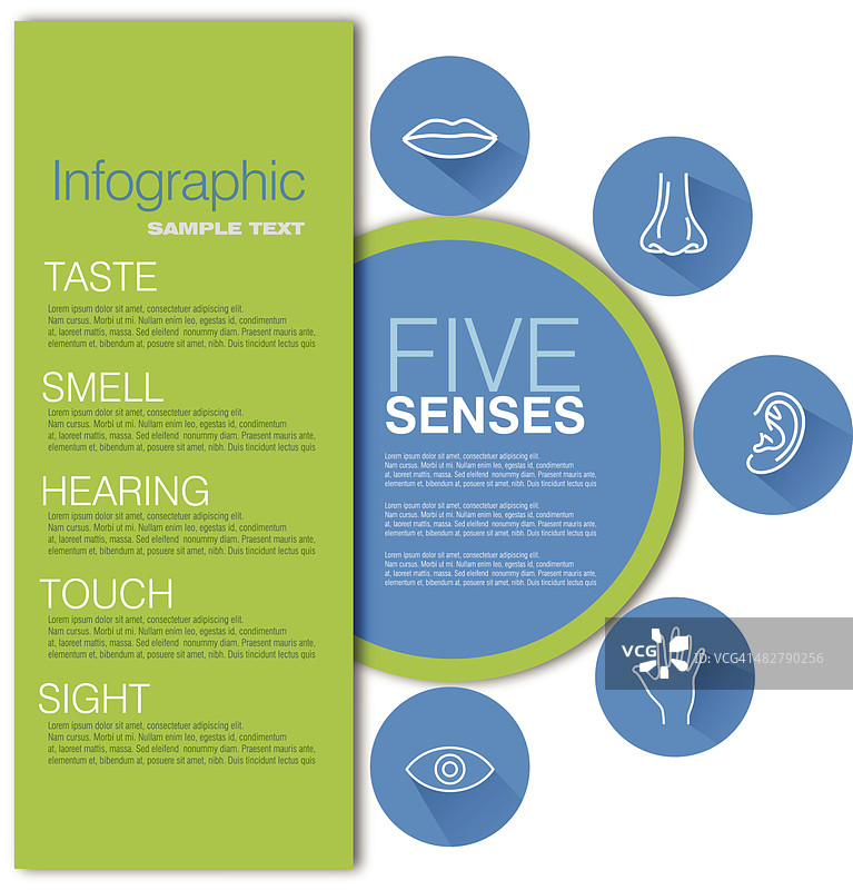 五感信息图设计图片素材