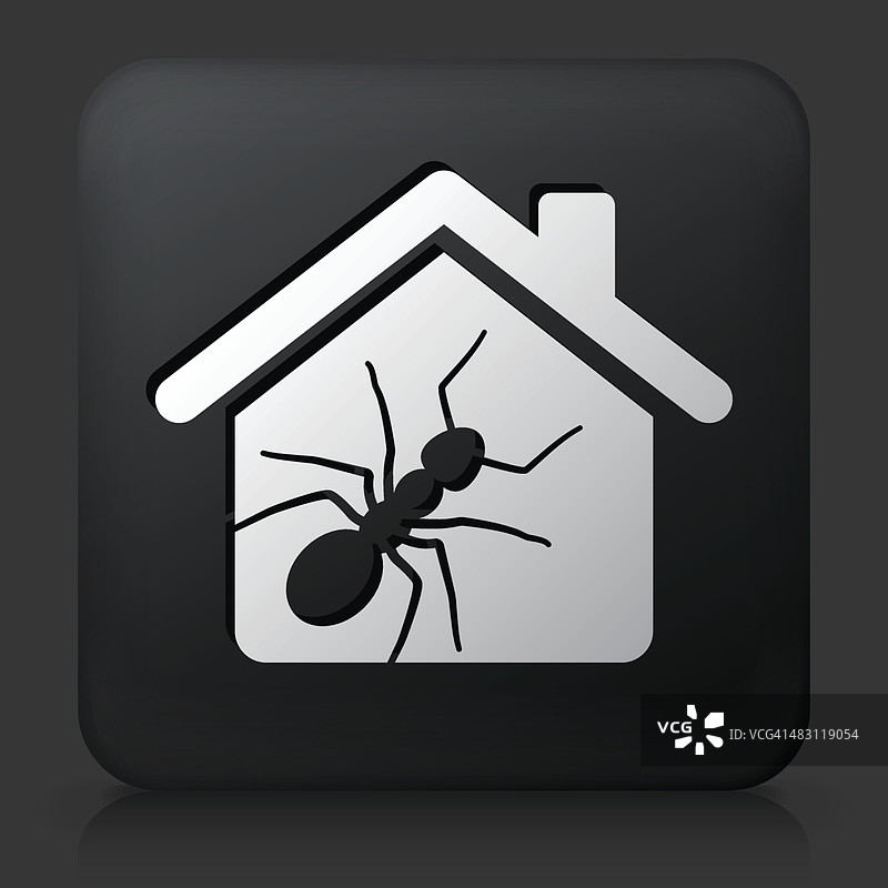 黑色方块按钮与蚂蚁害虫在家里图标图片素材