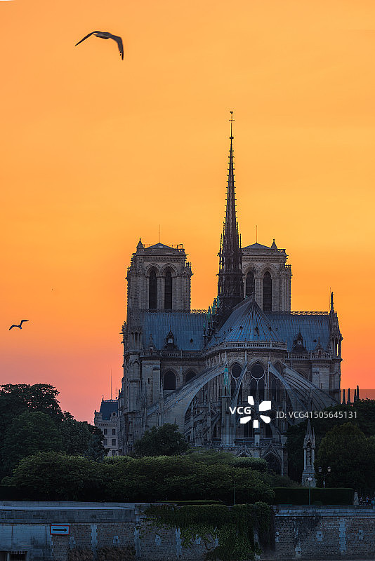 巴黎圣母院的日落图片素材