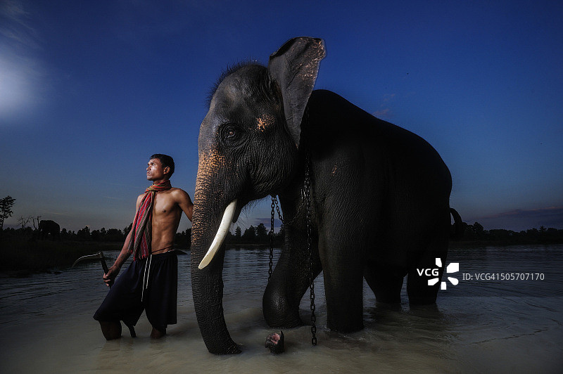 人和大象的生活图片素材