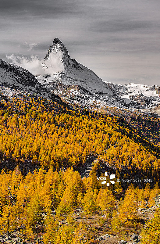 马特洪峰和金色的树叶图片素材