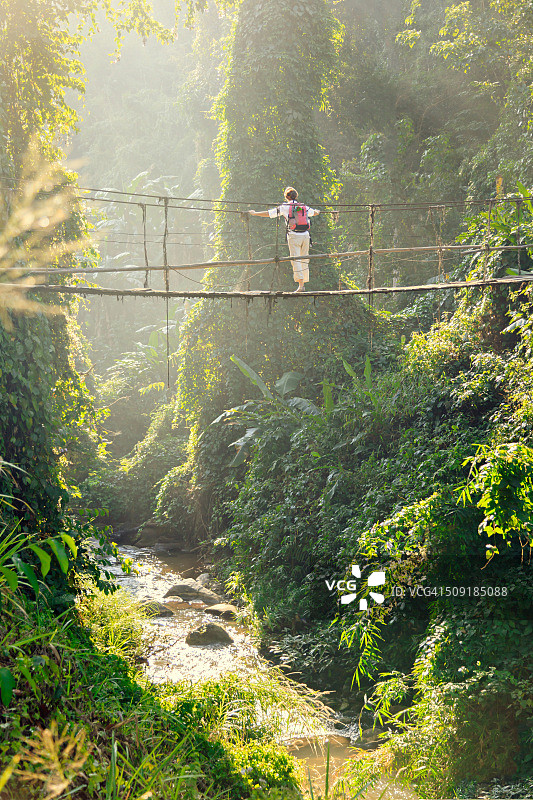 在热带雨林的吊桥上背着背包的女人图片素材
