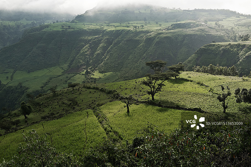 在埃塞俄比亚的塞米恩山谷图片素材