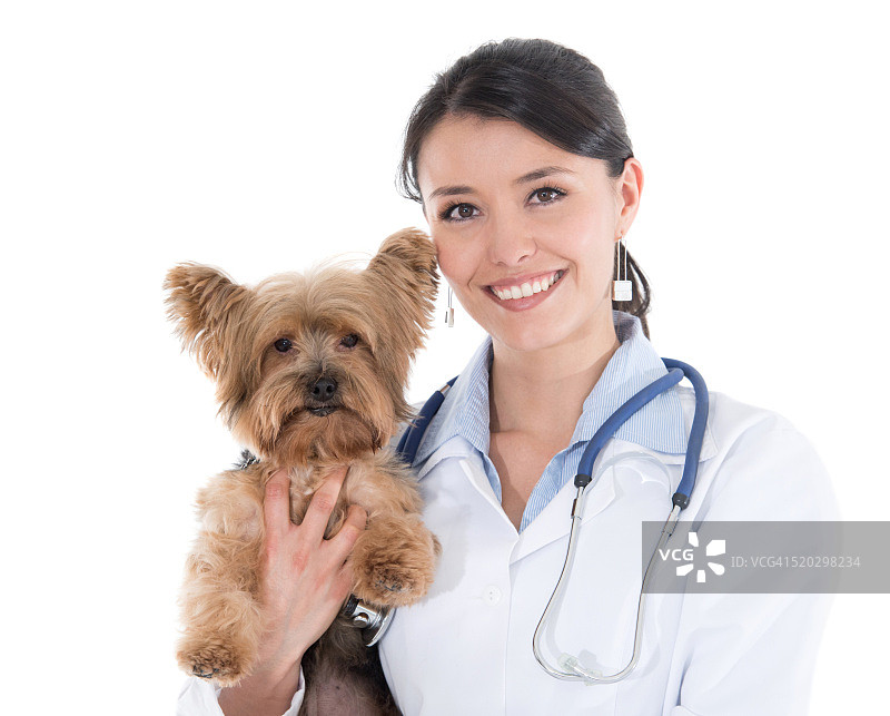 兽医抱着一只小狗图片素材