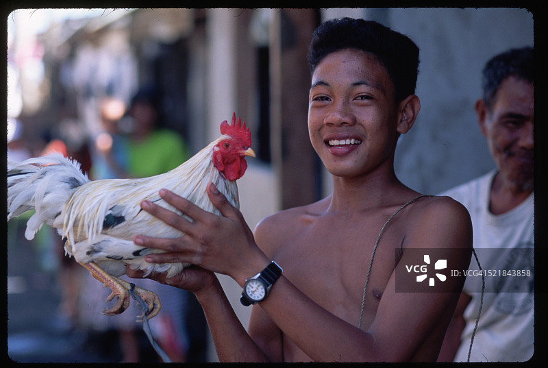 菲律宾青年与Gamecock图片素材