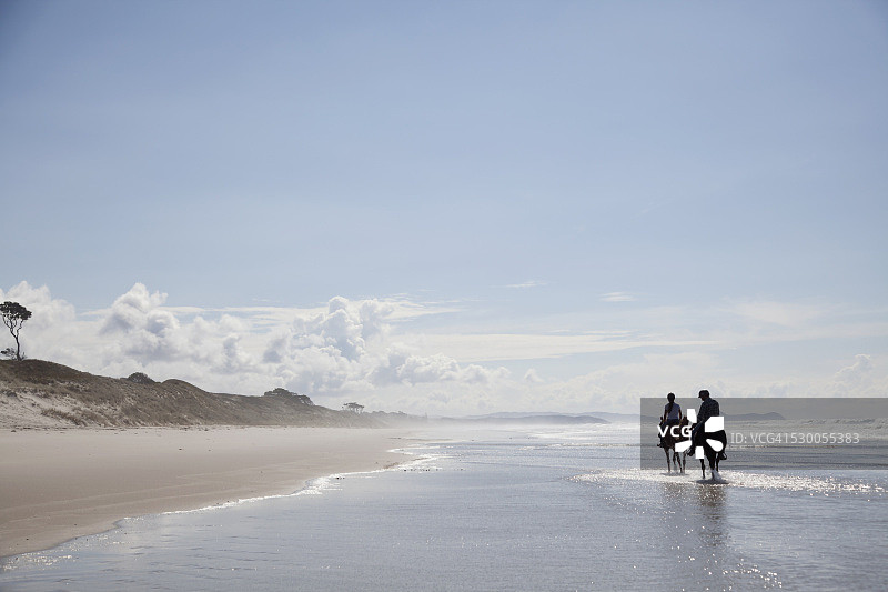 骑马，Pakiri海滩，奥克兰，新西兰图片素材