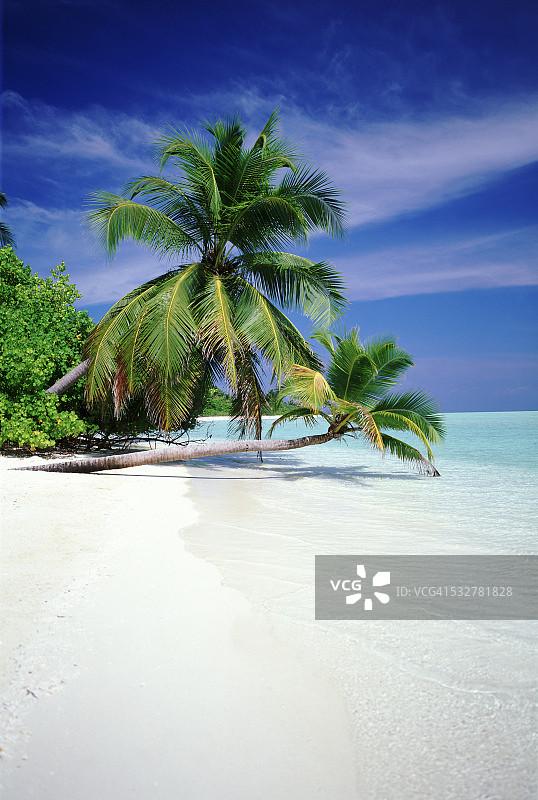 热带海滩-马尔代夫图片素材