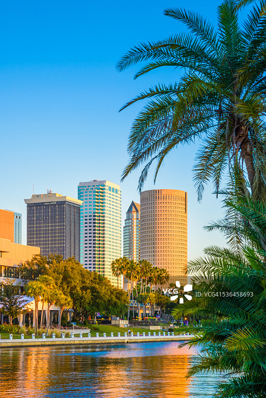 佛罗里达州坦帕市，天际线，摩天大楼，城市景观，棕榈树，拷贝空间，垂直覆盖图片素材