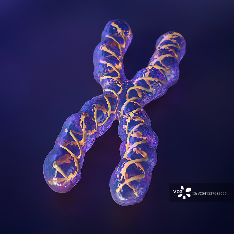 X染色体数字艺术品图片素材