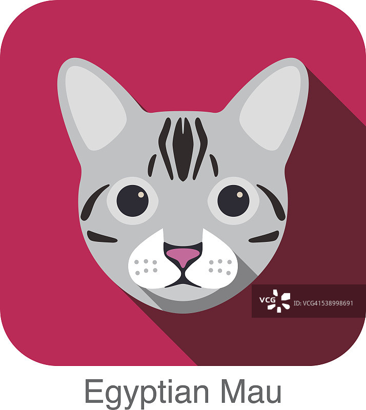 埃及茂，猫品种脸卡通平面图标设计图片素材