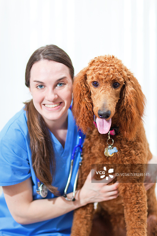 兽医与狗在兽医动物宠物诊所医院图片素材