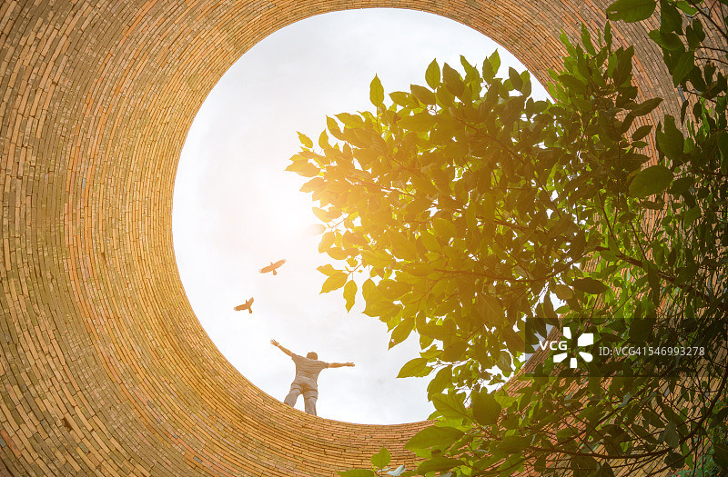 24、自由的人站在有鸟有绿的树的砖井口图片素材