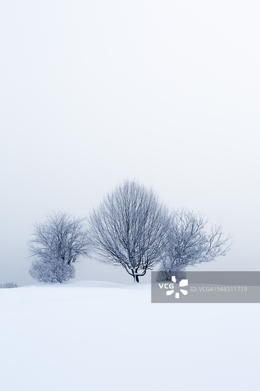 奥地利，蒙西，冰雪覆盖的冬季景观图片素材