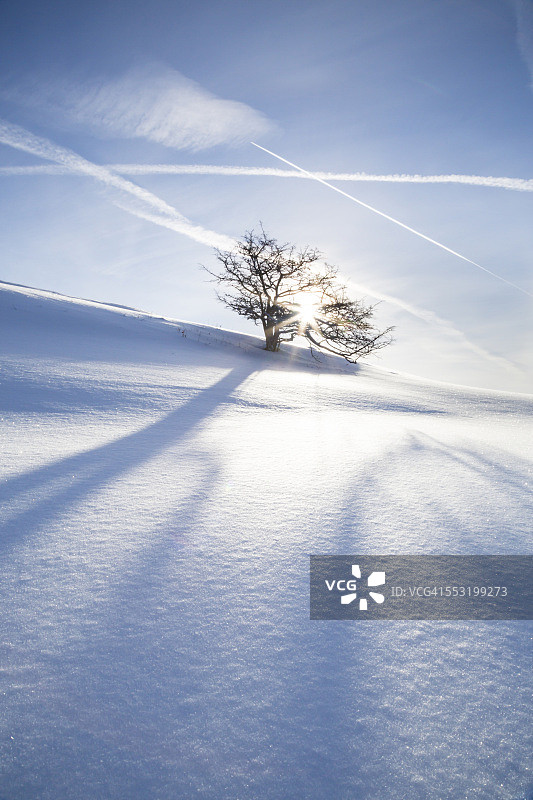 德国，巴登-符腾堡，斯瓦比亚山脉，树在冰雪覆盖的景观图片素材