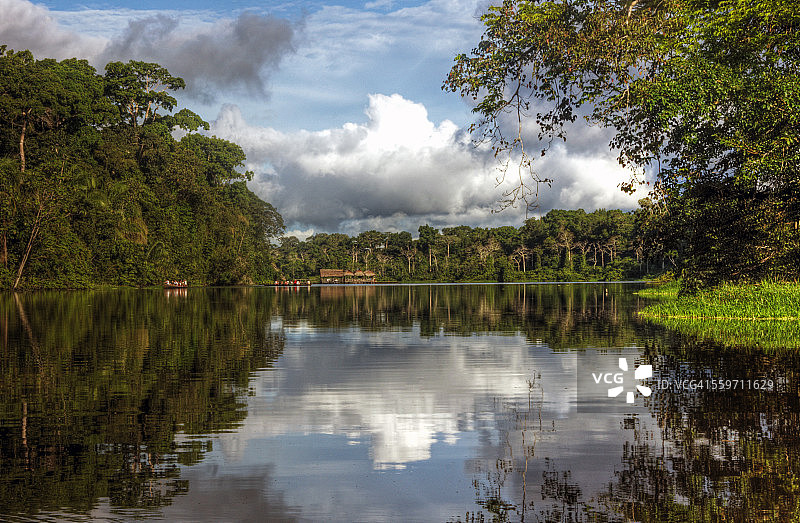 秘鲁马拉沙亚马逊热带雨林自然保护区图片素材