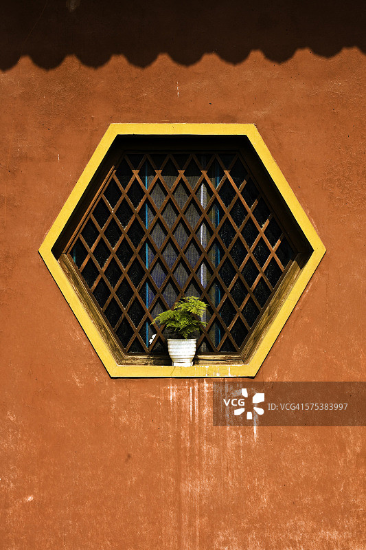 六角窗与植物图片素材